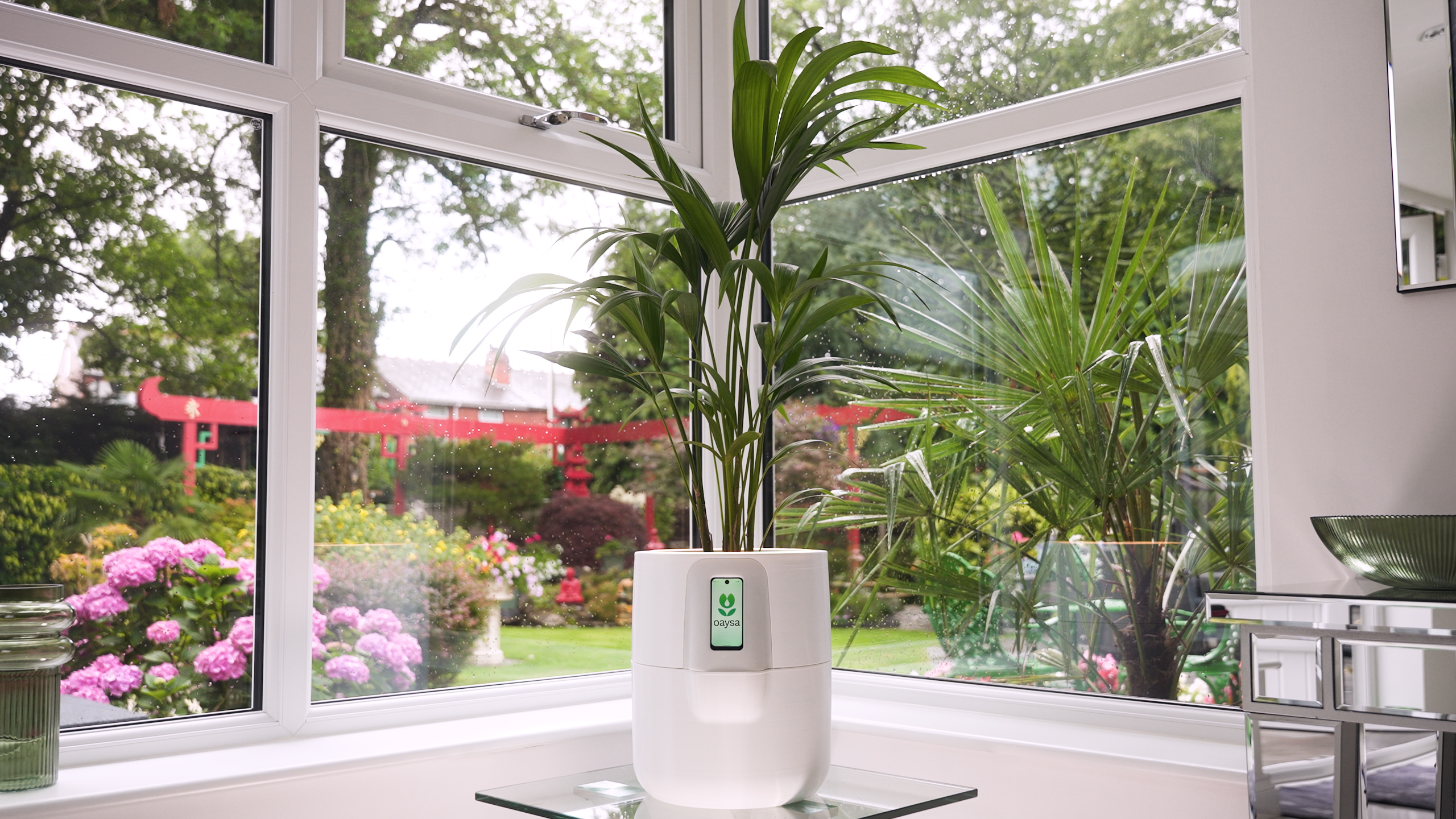 Oaysa Smart Pot — Arctic White