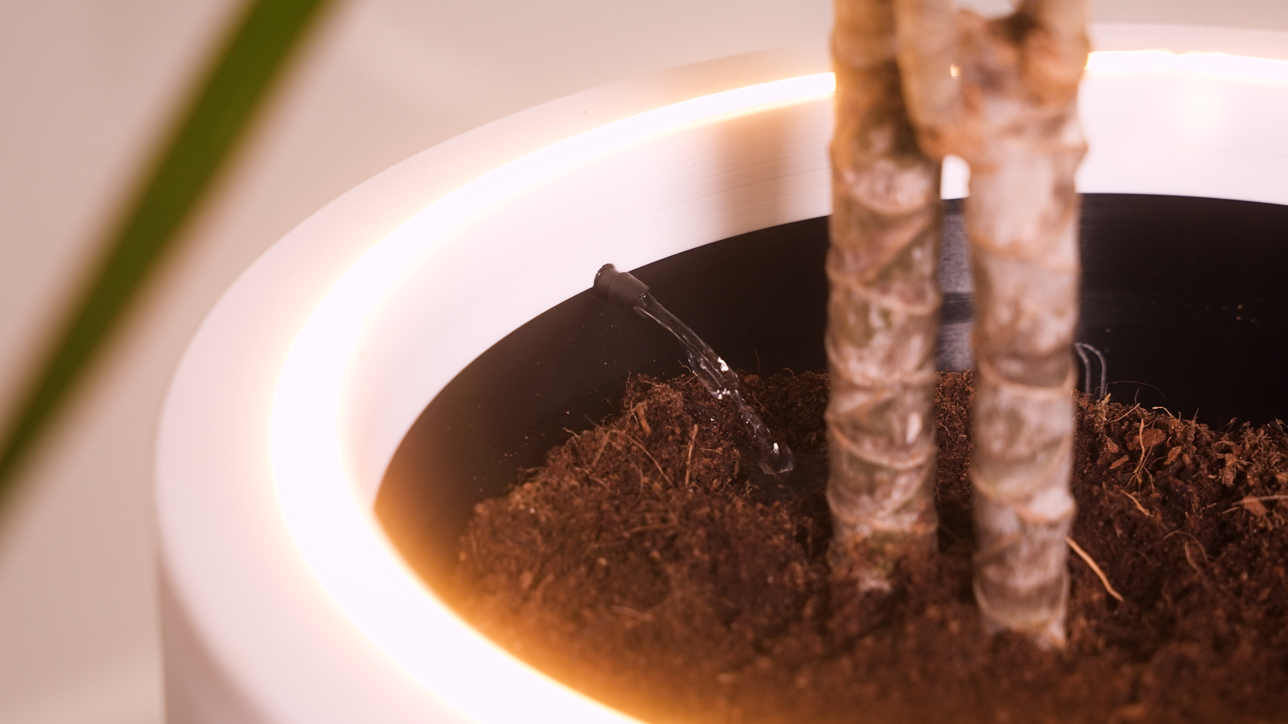 Oaysa precision watering system close-up