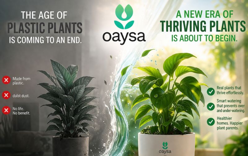 The new era of thriving plants — Oaysa